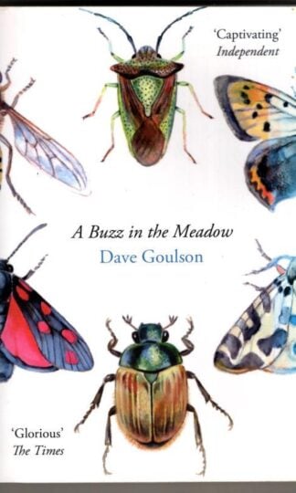 A Buzz in the Meadow : Dave Goulson