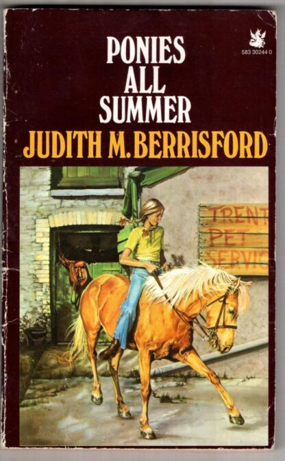 Ponies All Summer (The Dragon Books):Judith M. Berrisford