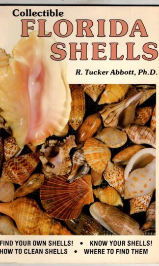 Collectible Florida Shells : R. Tucker Abbott