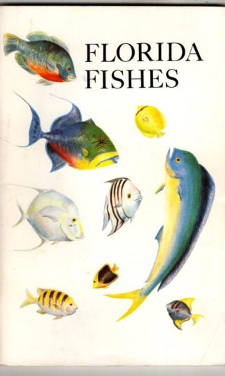 Florida Fishes : Rube Allyn