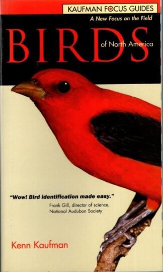 Kaufman Focus Guides: Birds of North America : Kenn Kaufman