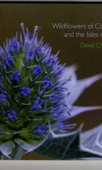 Wildflowers of Cornwall and the Isles of Scilly (Pocket Cornwall) : David Chapman