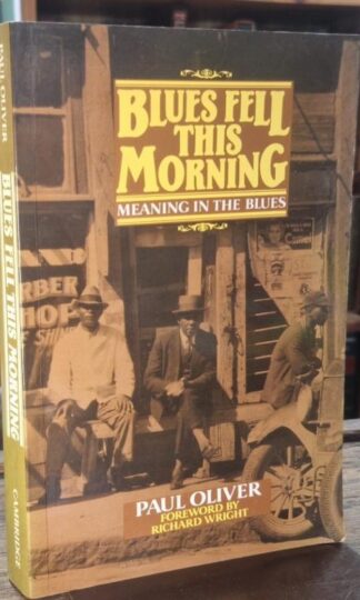 Blues Fell This Morning : Meaning in the Blues : Paul Oliver