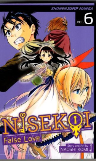 Nisekoi: False Love, Vol. 6 : Naoshi Komi