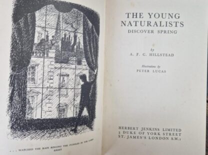 The Young Naturalists Discover Spring : A. F. C. Hillstead - Image 2
