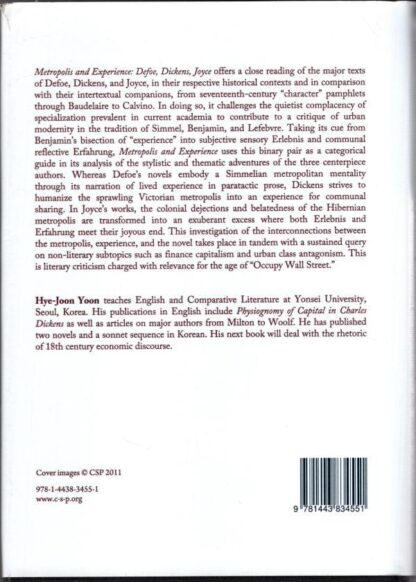 Metropolis and Experience: Defoe, Dickens, Joyce:Hye-Joon Yoon - Image 2