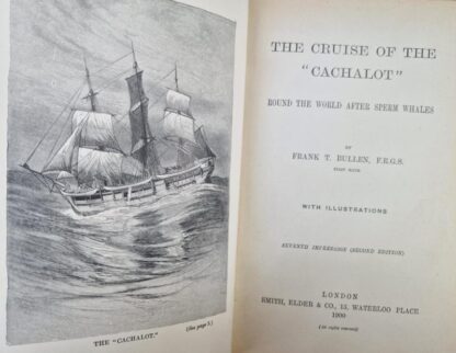 The Cruise of the "Cachalot". Round the World after Sperm Whales. : Frank T. Bullen - Image 2
