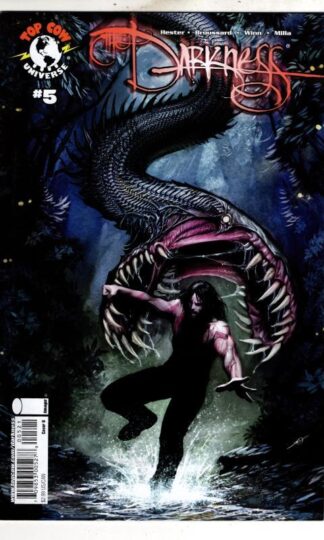 The Darkness #5 2008 Cover B : Phil Hester
